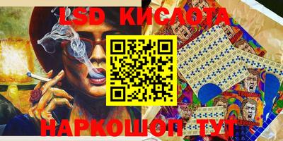 прущие грибы Апшеронск