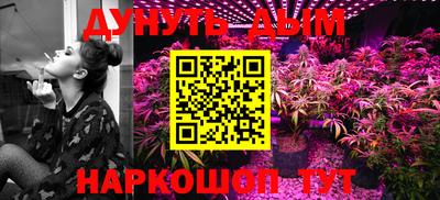 прущие грибы Апшеронск
