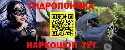 прущие грибы Апшеронск