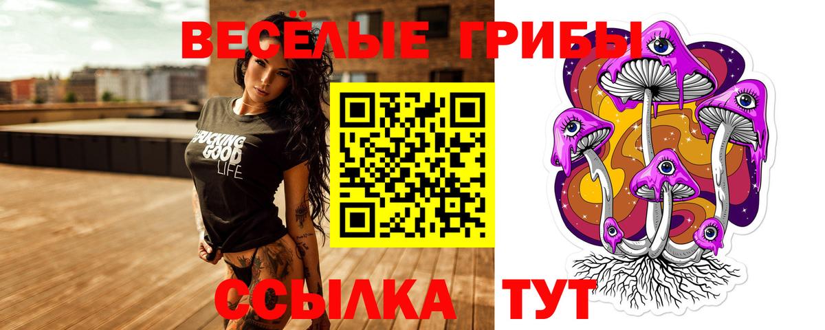 Псилоцибиновые грибы Magic Shrooms  Вход с VPN  Волжский  Галлюциногенные грибы Magic Shrooms 